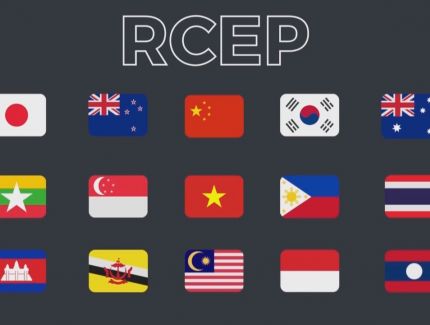 RCEP国家贸易投资合作交流会成功举办